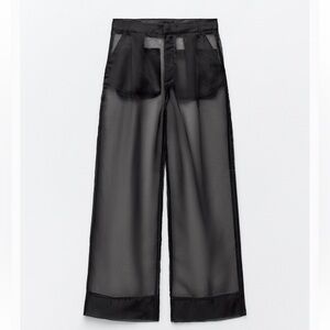 Zara Organza Pants